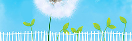 白色蒲公英綠色樹葉banner背景素材