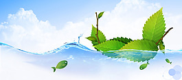清新綠色樹(shù)葉banner背景素材
