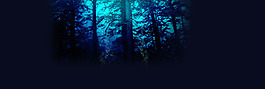 藍色森林banner背景素材