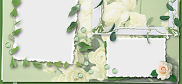 手繪清新綠色樹葉banner背景素材