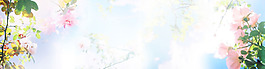 清新粉色花朵banner背景素材