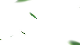 漂浮唯美綠葉png元素素材