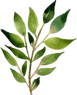 小清新綠葉植物元素