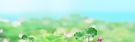 清新綠色植物banner背景素材