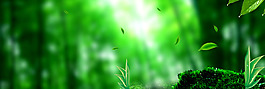 綠色樹林banner背景素材