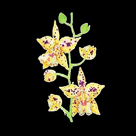 免扣花卉透明裝飾素材