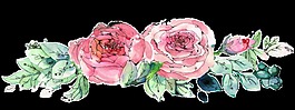花束透明裝飾素材