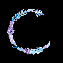 精致花環(huán)透明裝飾素材