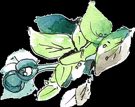 涂鴉植物透明裝飾素材