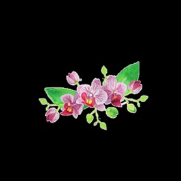 迷人花卉透明裝飾素材