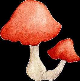 卡通蘑菇透明裝飾素材