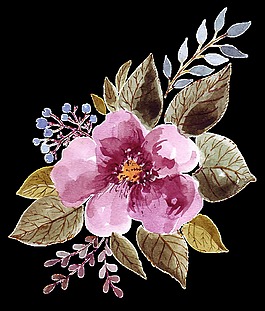 紫色花卉透明裝飾素材