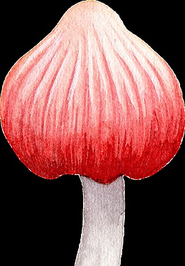 紅色蘑菇透明裝飾素材