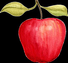 紅色蘋果透明裝飾素材