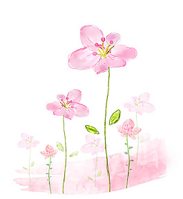 手繪粉色小花