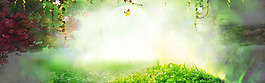 夢(mèng)幻綠色樹(shù)葉banner背景素材