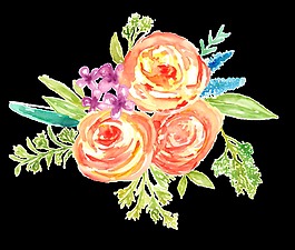 描繪卷心花透明素材