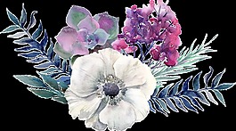 死亡白花叢透明素材