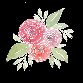 紅圈花蕊透明素材