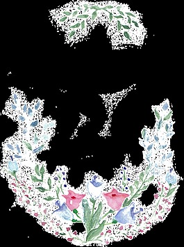燦爛花瓣透明素材