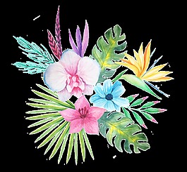 多色花叢透明素材