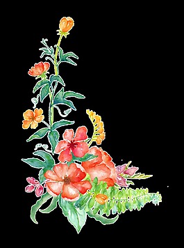 南瓜花叢透明素材