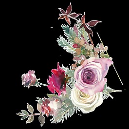 溫馨花叢透明素材