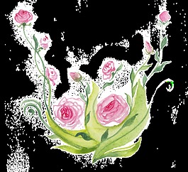 碧綠康乃馨透明素材