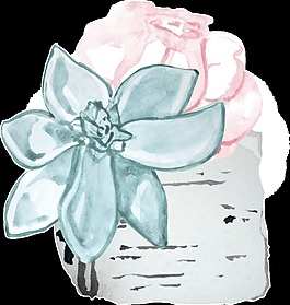古風花卉png透明素材