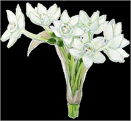 精致插花透明素材