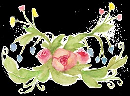 璀璨花群透明素材