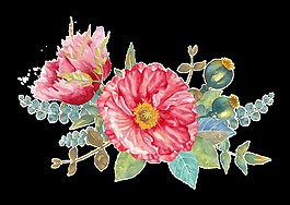 富貴花透明素材