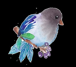 可愛胖鳥透明素材