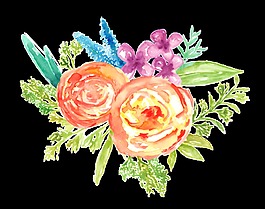 油菜花叢透明素材