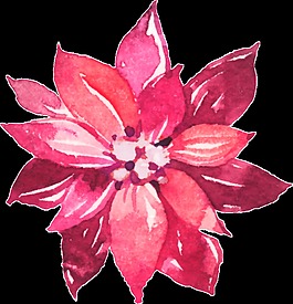 紅色時尚花卉png透明素材