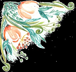 簡約植物png透明素材