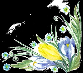 手繪美麗郁金香png透明素材