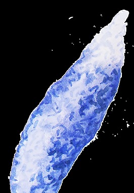 藍色蘆葦png透明素材