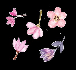 飄落花卉png透明素材