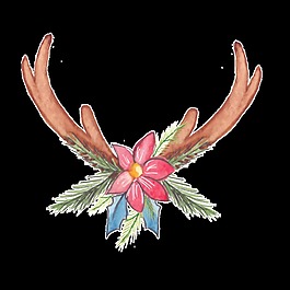 動物觸角花卉png透明素材
