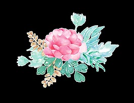 卡片裝飾花卉png透明素材