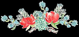 清香花卉png透明素材