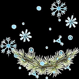 冬季雪花植物png透明素材