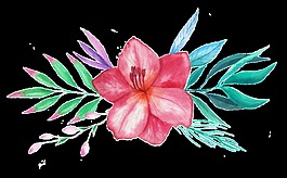 優(yōu)雅花卉png透明素材