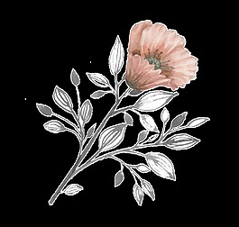 復古優(yōu)雅花卉png透明素材