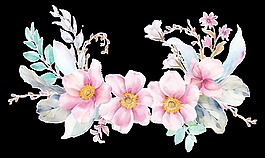 粉花綻放透明素材