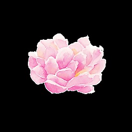 荷花png透明素材