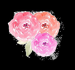 水彩涂鴉花朵透明素材