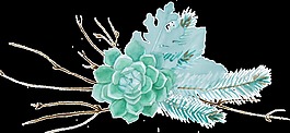 綠色盛開(kāi)花卉png透明素材