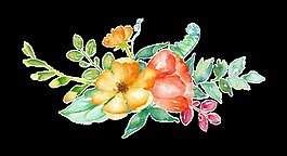 意境花卉png透明素材